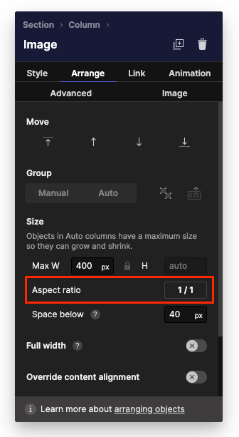 Aspect ratio button in the Arrange tab of the editing menu