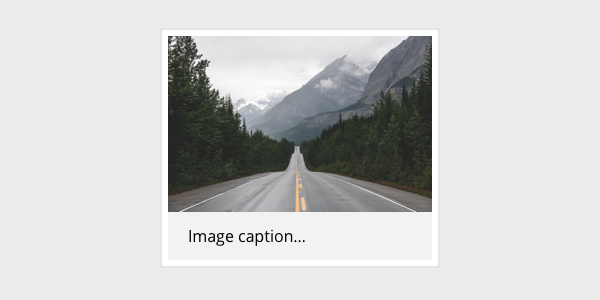Image with caption component showing caption below the image