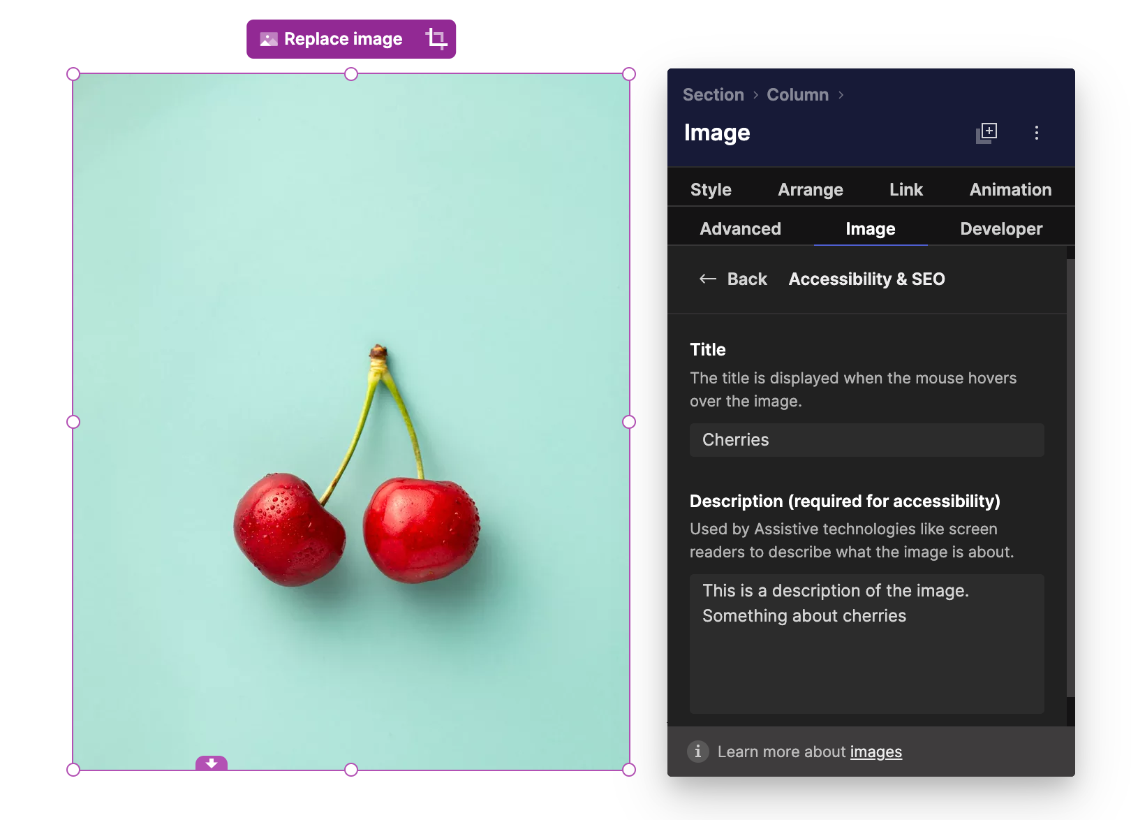 Image SEO alt tag and title tag fields in the editing menu