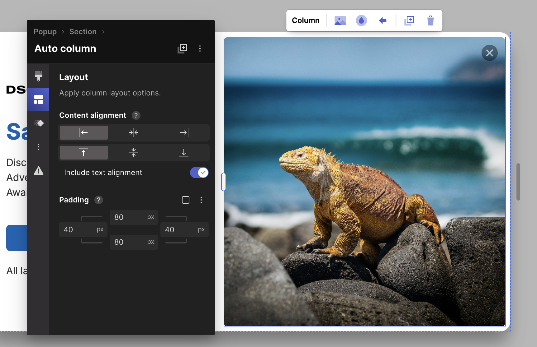 Column padding adjustment showing more background image in a popup